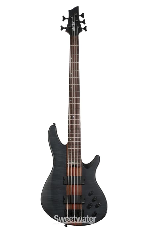 Amazon.com: Schecter Charles Berthoud CB-5 Electric Bass Guitar